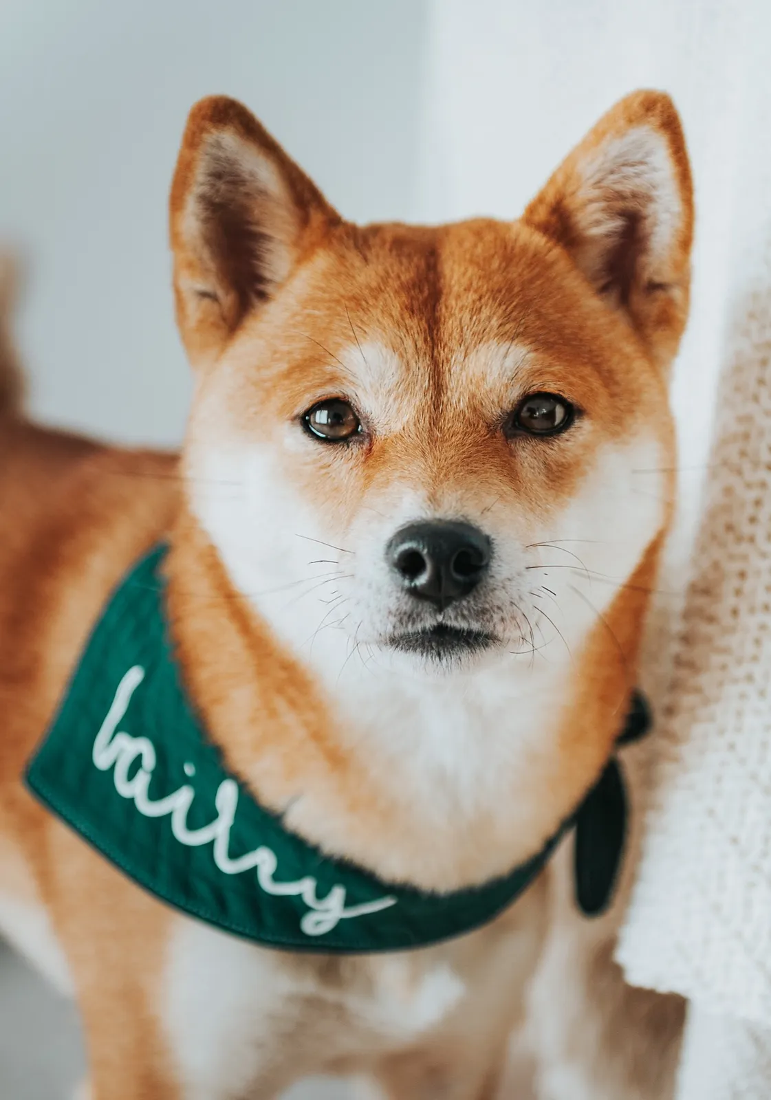 SHIBA%20BAILEY%207_edited.jpg