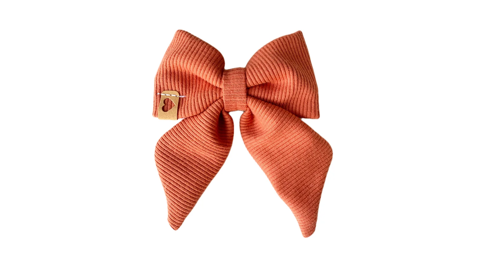 Schleife (coral)